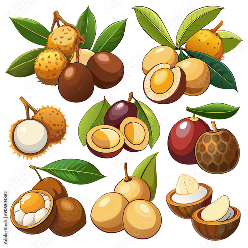 Comprehensive Collection of Fruits and Berries: Vibrant and Detailed Illustrations, Patterns, and Designs,  set of fruits, fruits and berries, set of fruit, collection of fruits, set of fruits and ber
