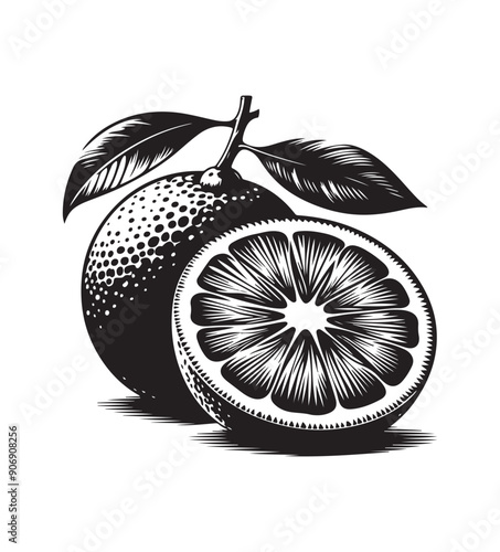 Orange fruit silhouette vector,black and white color