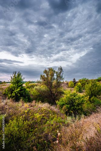 hills with dry grass, with trees growing at the bottom (in a large hole), against a stormy sky, during the early morning