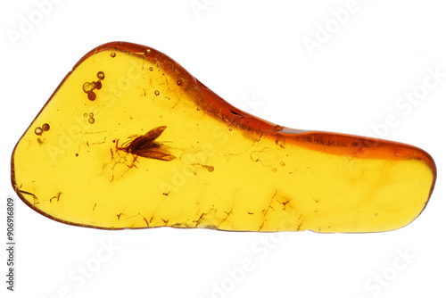 micromoth imprisioned in amber from Bitterfeld, Germany isolated on white background photo