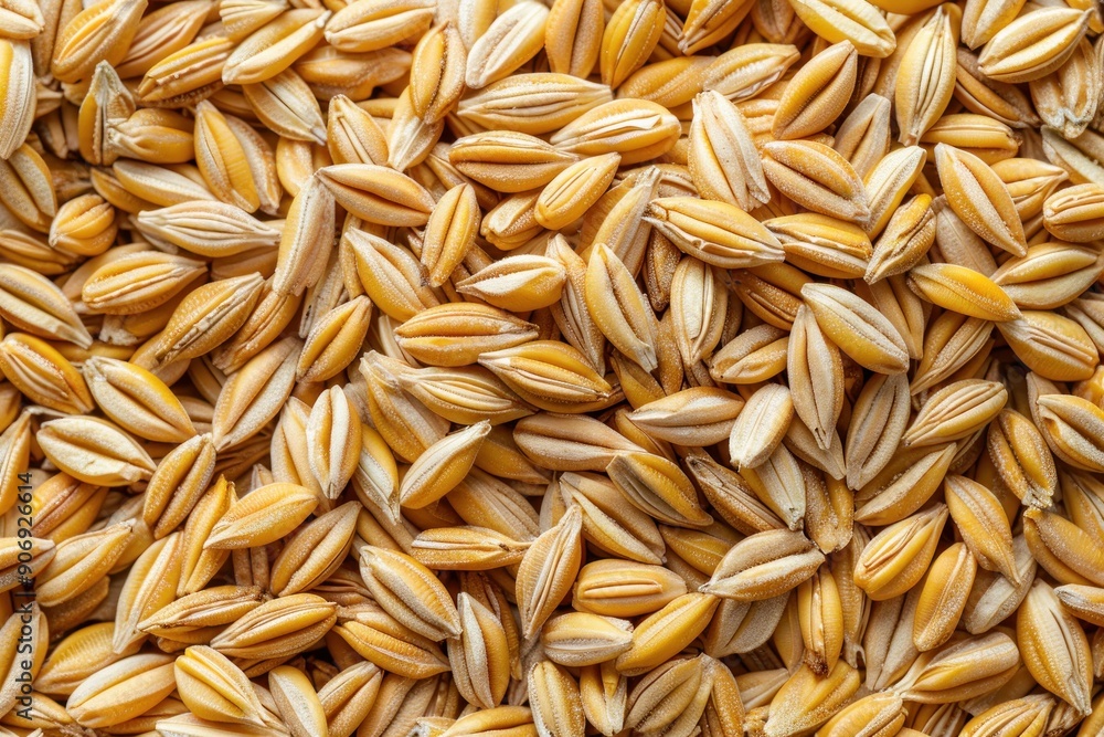 Background with golden wheat cereal texture Background with golden wheat cereal texture