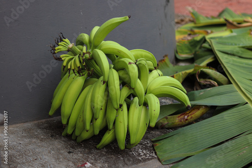 Organic Banana Bunch Robasta