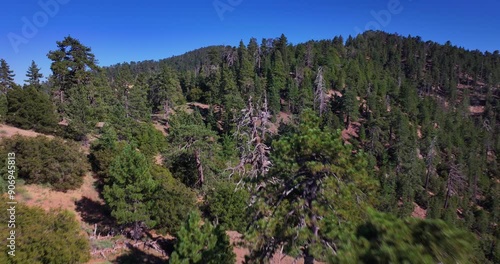 Pine Mountain Forest Reyes Peak California Aerial Video photo