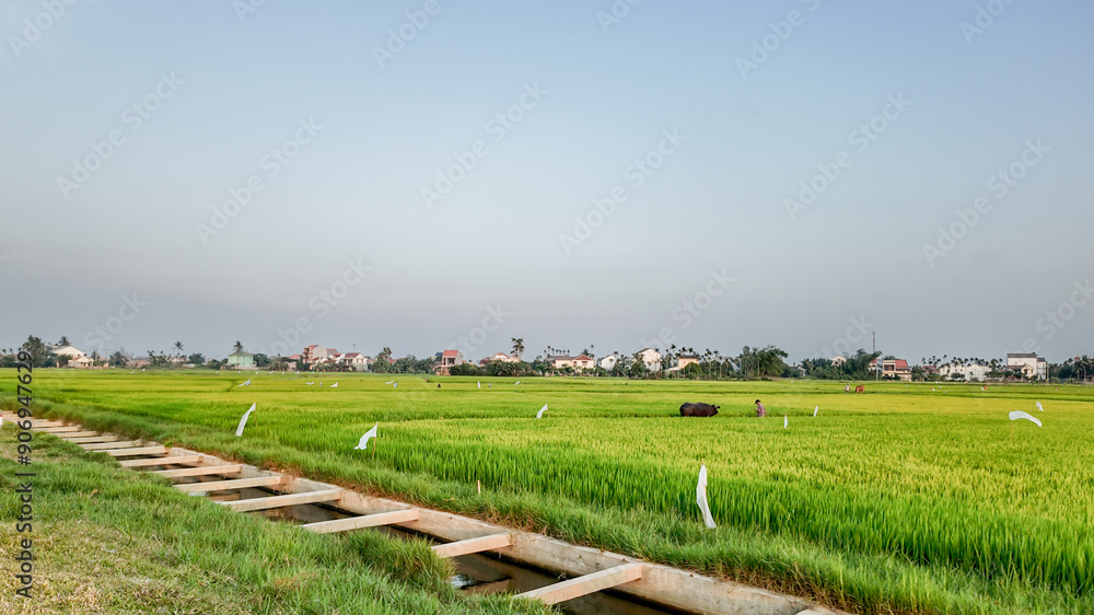 A serene rural landscape with lush green rice fields and picturesque traditional houses under a clear sky in Vietnam A serene rural landscape with lush green rice fields and picturesque traditional houses under a clear sky in Vietnam