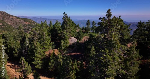 Ojai California Pine Forest Trees Aerial Video  photo