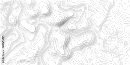 Topography wave line vector grid map. white wave line geography landscape Topo contour map on white background. Geographic mountain relief diagram line wave carve pattern.