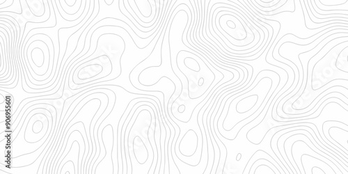 Topography wave line vector grid map. white wave line geography landscape Topo contour map on white background. Geographic mountain relief diagram line wave carve pattern.