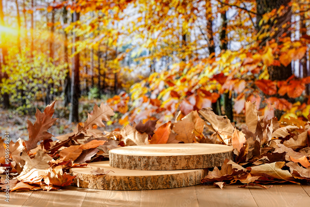 Obraz premium Autumn leaves composition on a wooden pedestal on wooden table with copy space for products. Autumn trees in the forest background. 