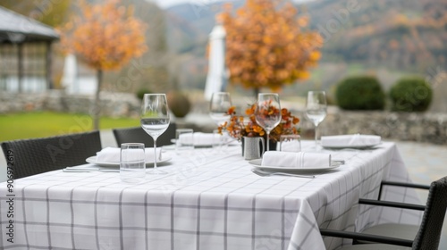Outdoor Gathering With Friends at a Greenery-Filled Location During a Sunny Day