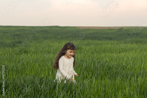 a little girl with long hair in a field of green wheat. young wheat