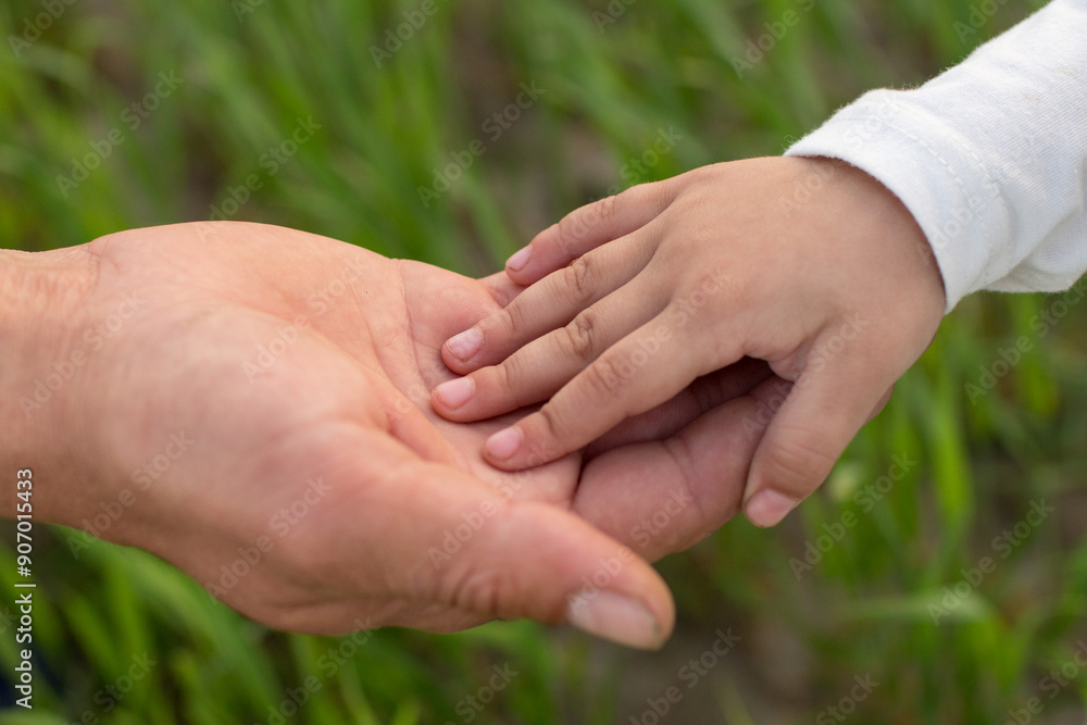 little hand of his daughter in the hand of the father in the background field of green wheat little hand of his daughter in the hand of the father in the background field of green wheat