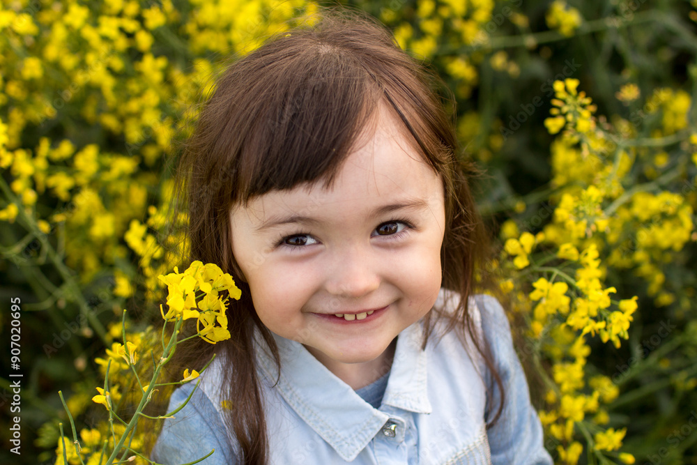 a little girl in a field of flowering yellow. field. girl with yellow flowers a little girl in a field of flowering yellow. field. girl with yellow flowers
