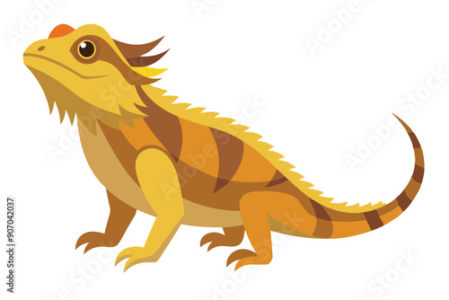 Bearded dragon animal flat vector illustration on white background 