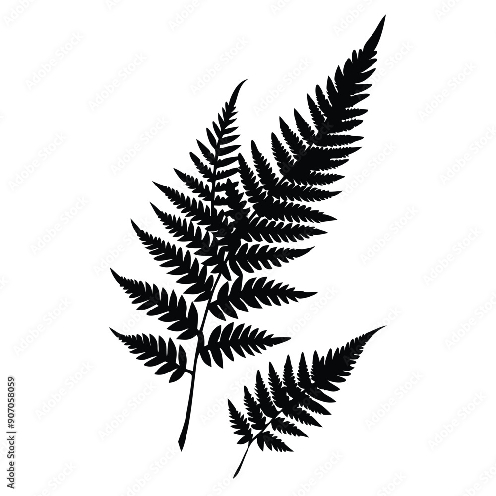 Naklejka premium Fern Leaves vector silhouette 