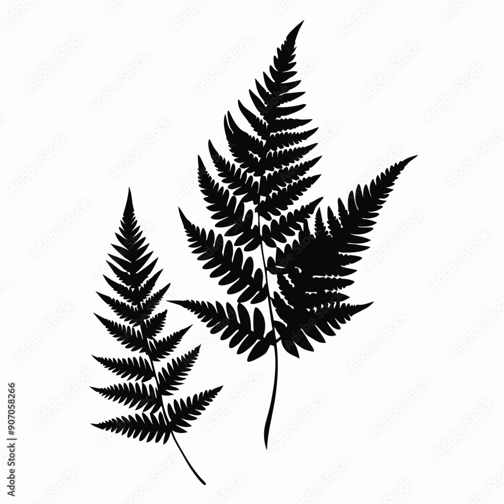 Naklejka premium Fern Leaves vector silhouette, isolated white background.