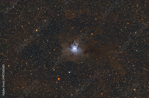 Fototapeta NGC7023 Iris Nebula