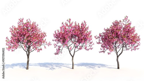 Isolated pink flowery grow blossoming trees set on white backgrounds 3d render 