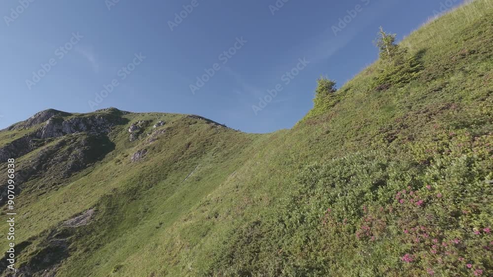 FPV drone flight above mountain ridge and peak. Close to the ground flight through Gantrisch mountains in alps in Switzerland. FPV drone flight above mountain ridge and peak. Close to the ground flight through Gantrisch mountains in alps in Switzerland.