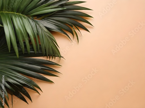 palm tree leaves background