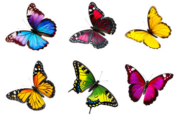Set of colorful butterfly isolated on transparent background. PNG, cutout. Clipart collection of bright butterflies with beautiful wings.