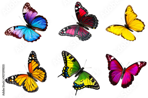 Set of colorful butterfly isolated on transparent background. PNG, cutout. Clipart collection of bright butterflies with beautiful wings.