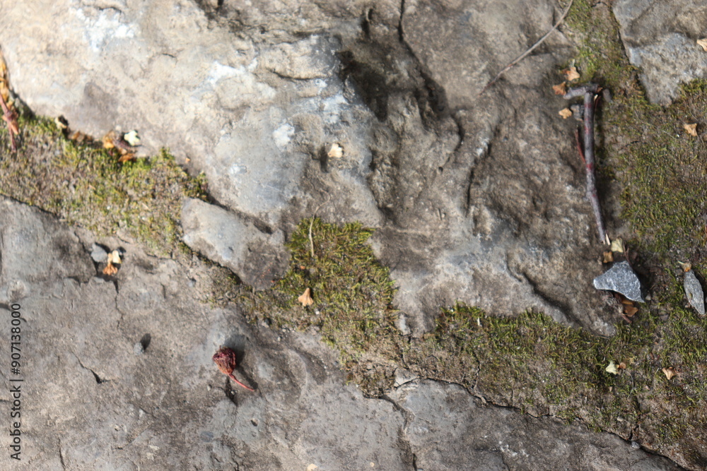 Gray stone blocks with soil and plants.
Gray stone blocks with soil and plants.