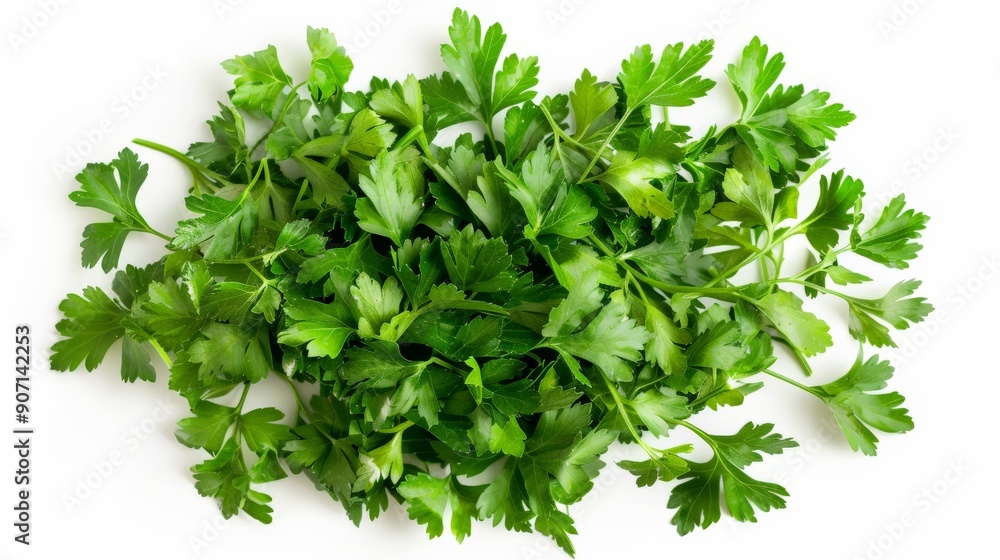 Obraz premium A neat bunch of fresh parsley leaves displayed against a white background, emphasizing their importance in adding flavor and garnish to various cuisines.