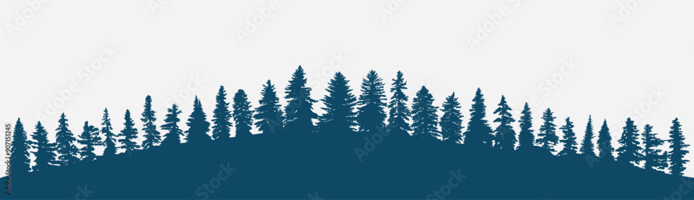 Obraz premium Coniferous forest background, panoramic forest silhouette