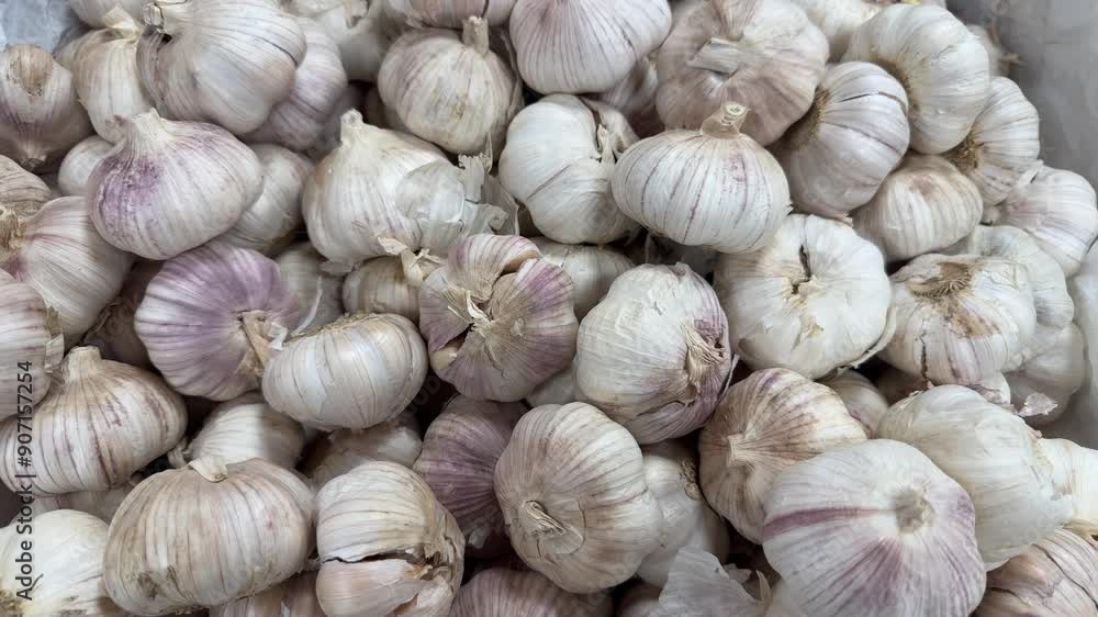 A pile of large heads of garlic A pile of large heads of garlic