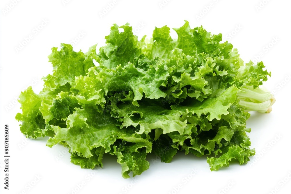 salad, lettuce leaf, isolated on white background, full depth of field, ai salad, lettuce leaf, isolated on white background, full depth of field, ai