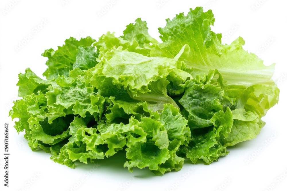 salad, lettuce leaf, isolated on white background, full depth of field, ai salad, lettuce leaf, isolated on white background, full depth of field, ai