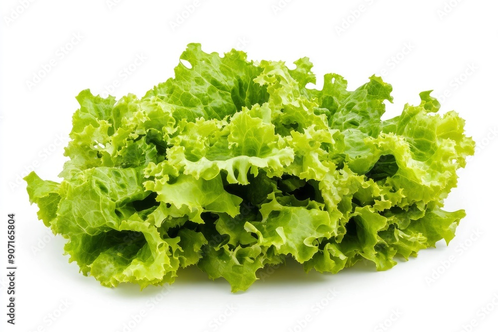 salad, lettuce leaf, isolated on white background, full depth of field, ai salad, lettuce leaf, isolated on white background, full depth of field, ai