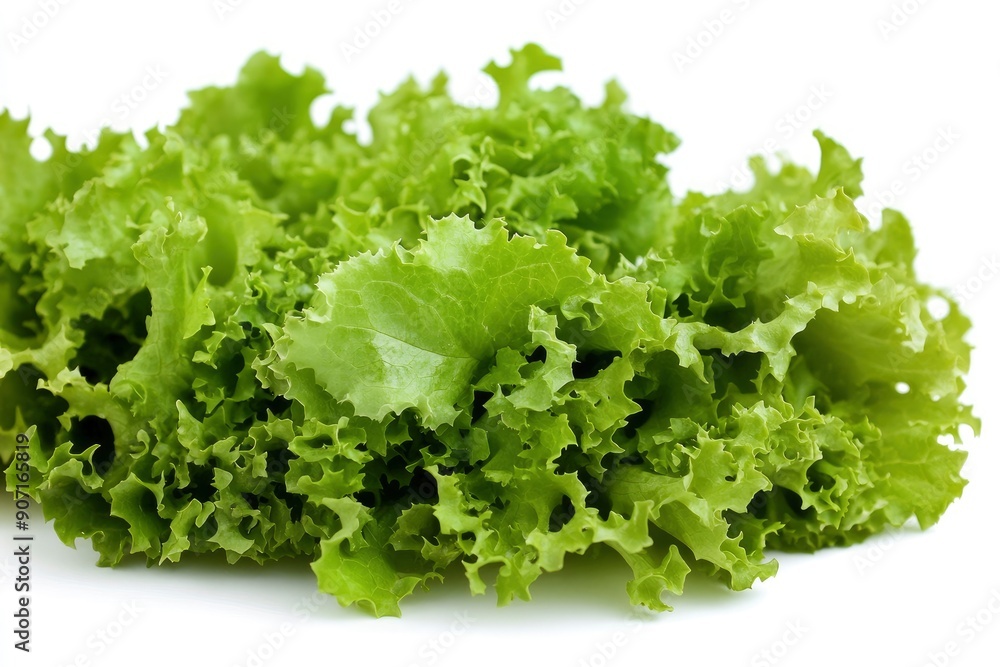 salad, lettuce leaf, isolated on white background, full depth of field, ai salad, lettuce leaf, isolated on white background, full depth of field, ai