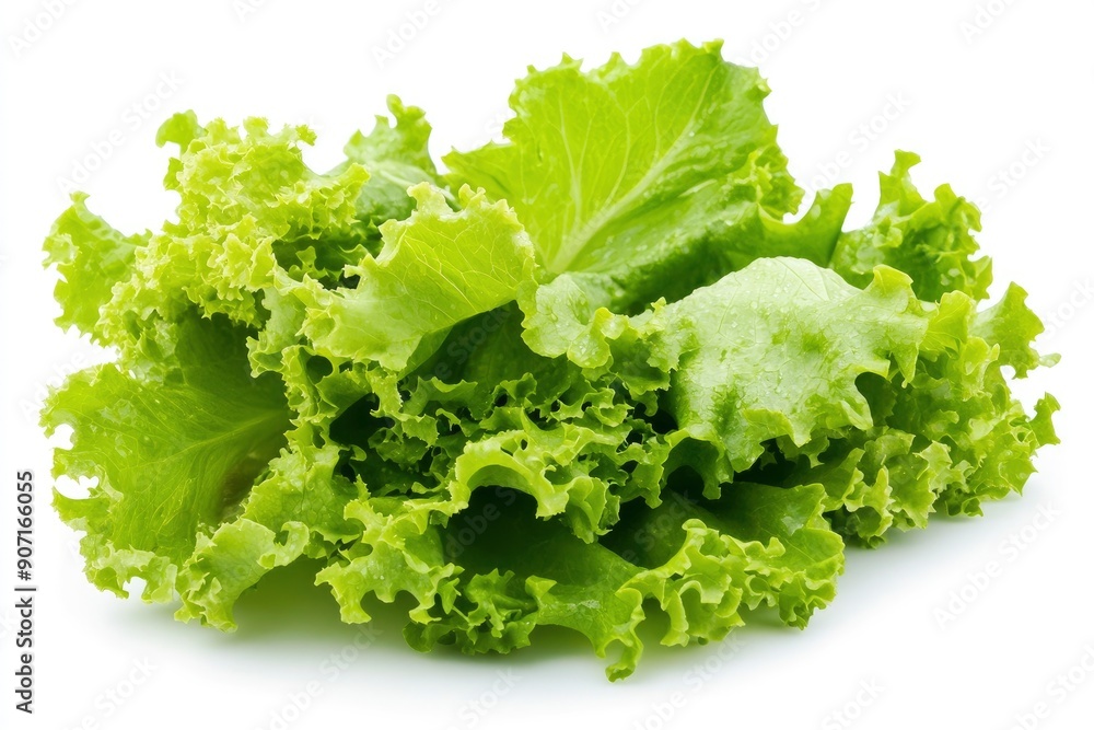 salad, lettuce leaf, isolated on white background, full depth of field, ai salad, lettuce leaf, isolated on white background, full depth of field, ai