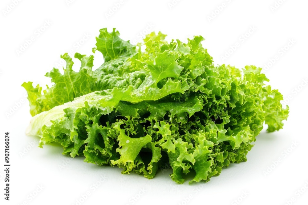 salad, lettuce leaf, isolated on white background, full depth of field, ai salad, lettuce leaf, isolated on white background, full depth of field, ai