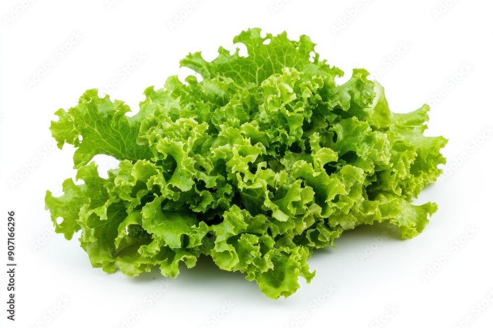 salad, lettuce leaf, isolated on white background, full depth of field, ai salad, lettuce leaf, isolated on white background, full depth of field, ai