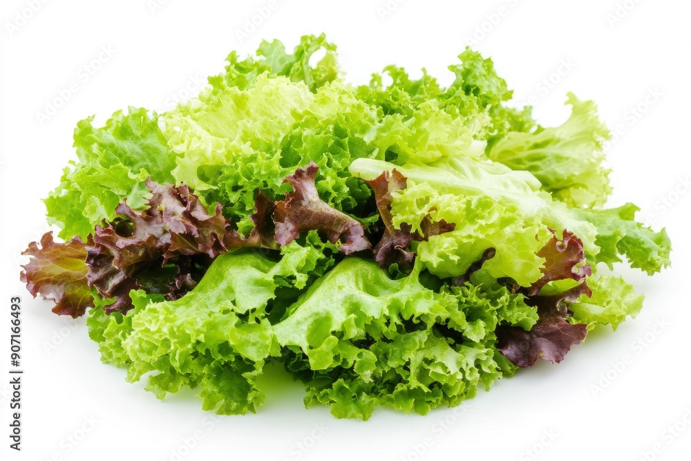 salad, lettuce leaf, isolated on white background, full depth of field, ai salad, lettuce leaf, isolated on white background, full depth of field, ai
