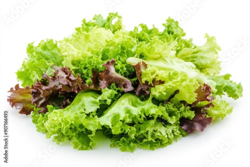 salad, lettuce leaf, isolated on white background, full depth of field, ai