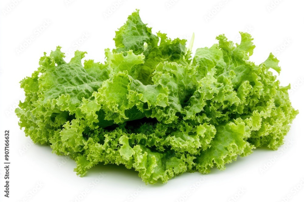 salad, lettuce leaf, isolated on white background, full depth of field, ai salad, lettuce leaf, isolated on white background, full depth of field, ai