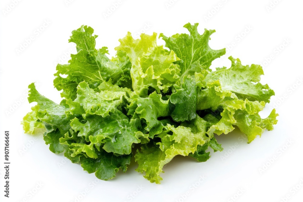 salad, lettuce leaf, isolated on white background, full depth of field, ai salad, lettuce leaf, isolated on white background, full depth of field, ai