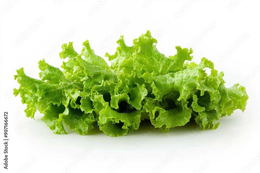 salad, lettuce leaf, isolated on white background, full depth of field, ai salad, lettuce leaf, isolated on white background, full depth of field, ai