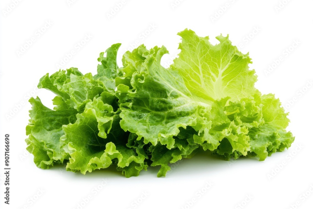 salad, lettuce leaf, isolated on white background, full depth of field, ai salad, lettuce leaf, isolated on white background, full depth of field, ai