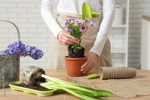 Woman repotting blooming pl...