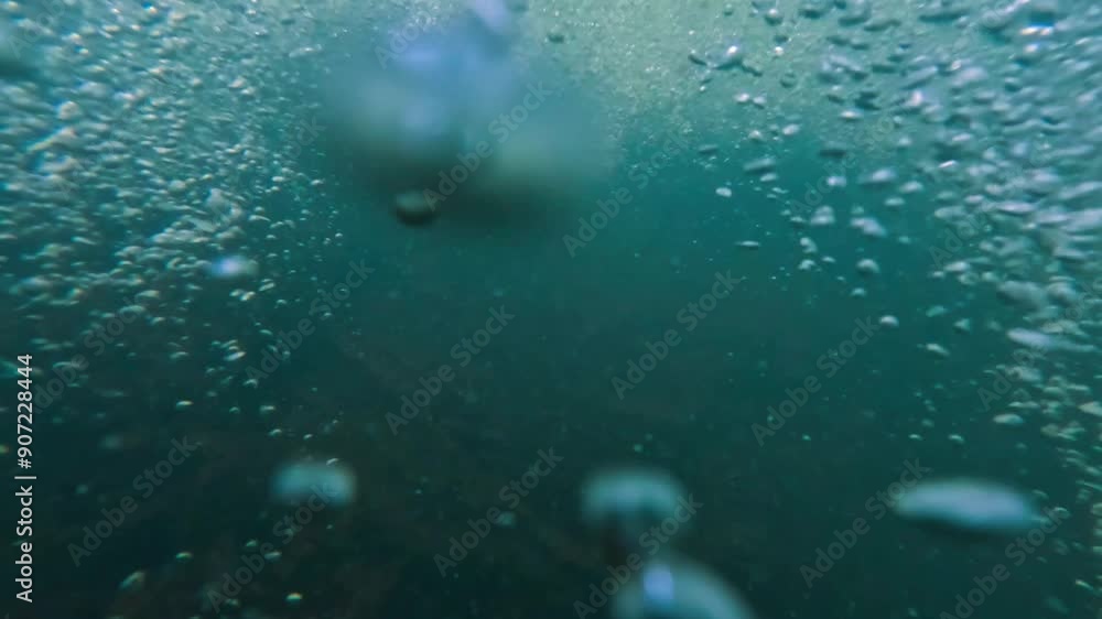 Underwater Air Bubble Underwater Air Bubble