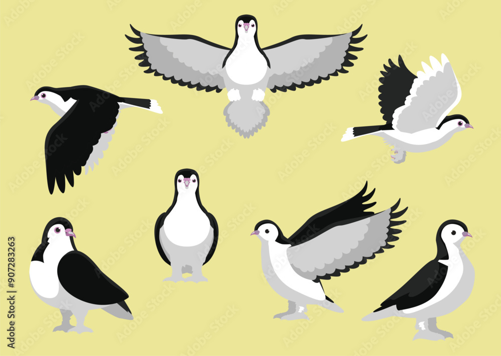 Pigeon Lahore Bird Various Poses Exotic Pet Cartoon Vector Illustration Isolated Character Pigeon Lahore Bird Various Poses Exotic Pet Cartoon Vector Illustration Isolated Character