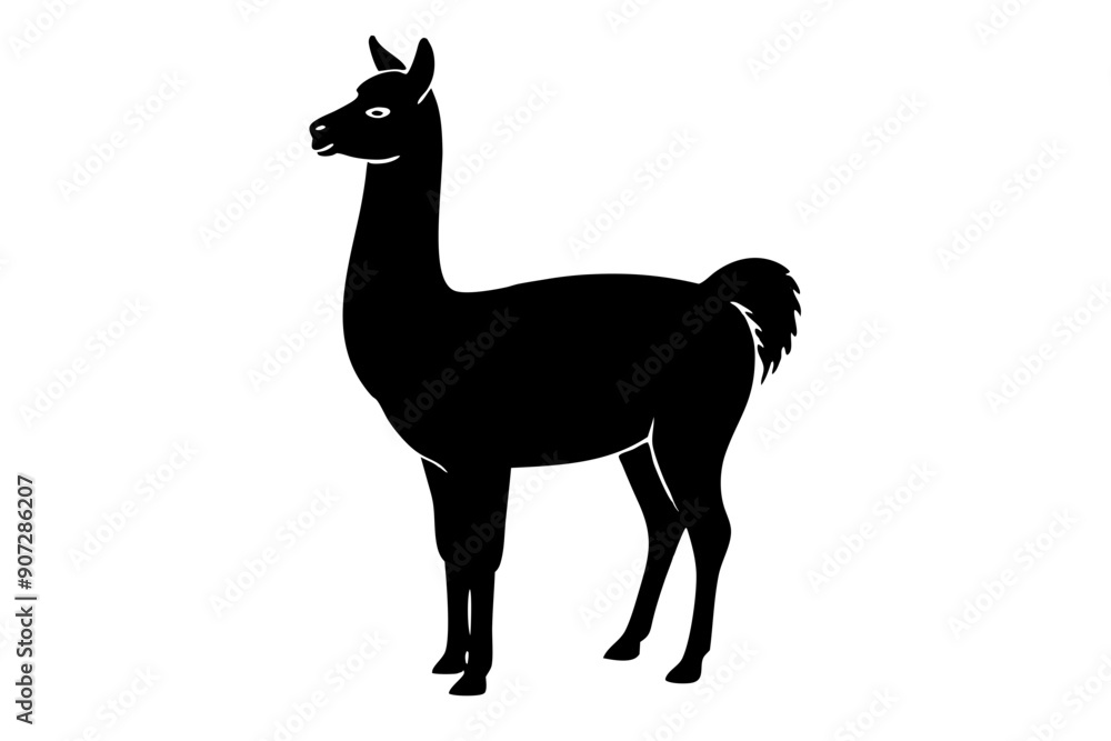 Fototapeta premium Black Alpaca Silhouette Vector, lama silhouette
