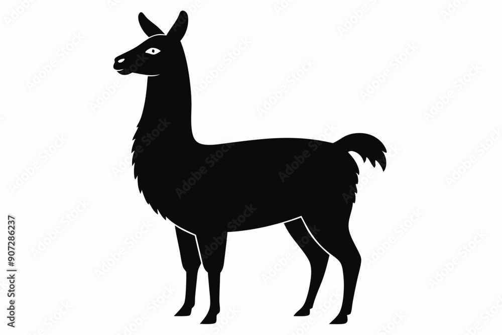 Black Alpaca Silhouette Vector, lama silhouette Black Alpaca Silhouette Vector, lama silhouette