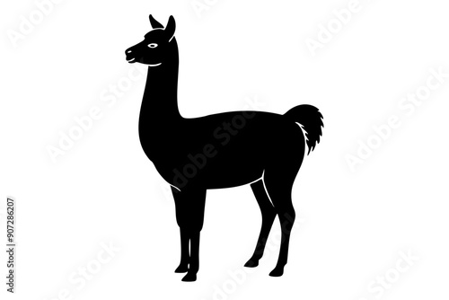 Black Alpaca Silhouette Vector, lama silhouette