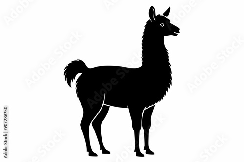 Black Alpaca Silhouette Vector, lama silhouette