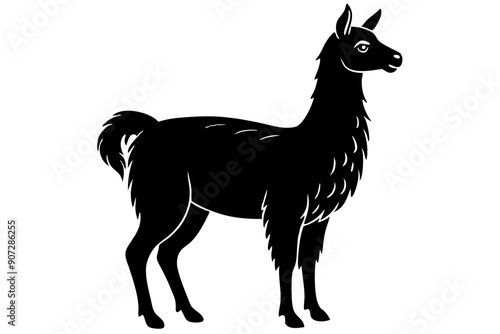 
Lama Silhouette,  Vector of lama standing side view black silhouette


